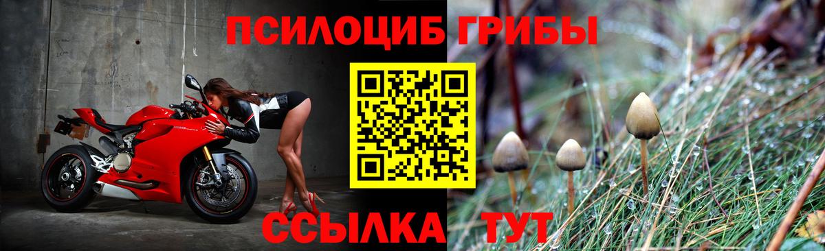 Галлюциногенные грибы Psilocybe  Вход с VPN  Донецк 