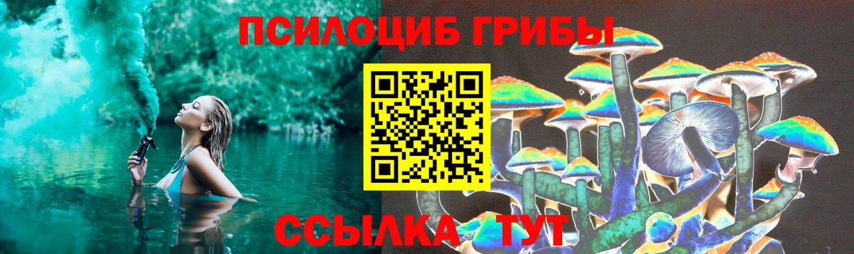 Псилоцибиновые грибы Psilocybe Донецк
